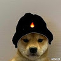 Profile Picture of David Capek (@david-capek-2) on Quora
