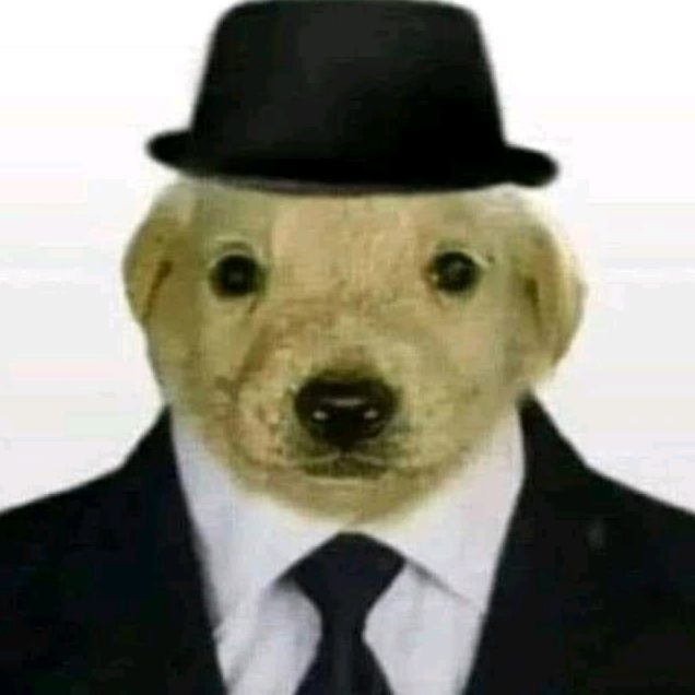 Chad dog - Tiktok Profile Picture of Chad dog (@chad_dog) on Tiktok