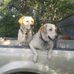 Profile Picture of Richard Opperman (@richard.opperman.313) on Facebook