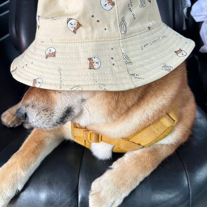 Profile Picture of kenliao (@ken.0311) on Tiktok