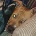 Profile Picture of Steven Backus (@steven.backus.56) on Facebook
