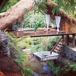 Profile Picture of Gary Pelkey (@tendault) on Instagram