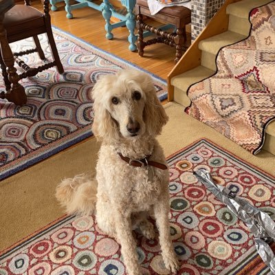 Profile Picture of James Elsey (@jelsey4) on Twitter