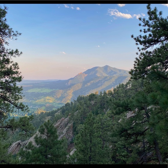 Ryann Laudon - Poshmark Profile Picture of Ryann Laudon (@ryannml) on Poshmark