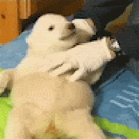 Profile Picture of Andrew Asis Élève (@andrew-asis-Élève) on Quora