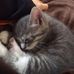 Profile Picture of Sam Zuckerman (@sam.zuckerman.148) on Facebook