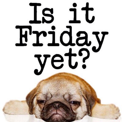 Profile Picture of Andrew Whittemore (@andrewwhittemo1) on Twitter