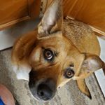 Brad Staab - Instagram Profile Picture of Brad Staab (@bradstaab) on Instagram