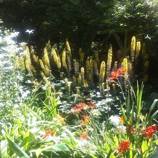 Profile Picture of Arron Gregory (@niratf.karew) on Facebook