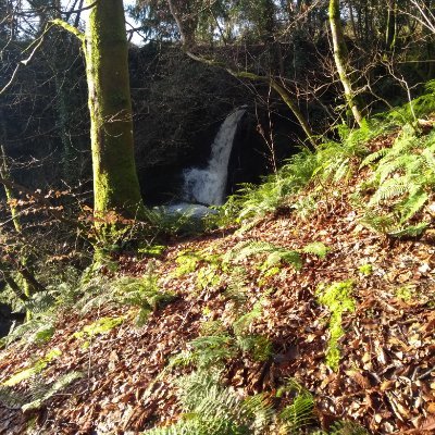 Profile Picture of Jillian Sweeney (@Jillian83368833) on Twitter