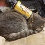 Profile Picture of Garth Clark (@drakthore) on Instagram