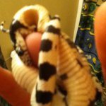 Profile Picture of Colby Stewart (@farmerboy3345) on Instagram