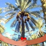 Profile Picture of Issam Hamras (@Issam-Hamras) on Facebook