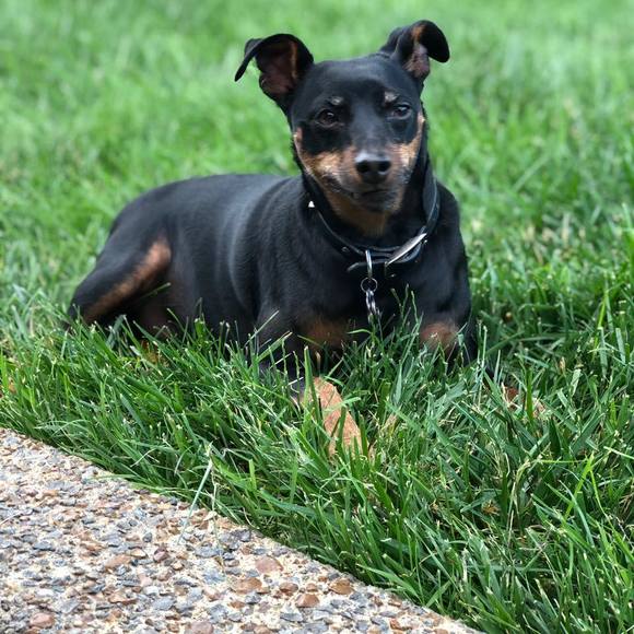 Profile Picture of Corey Arp (@carp1971) on Poshmark