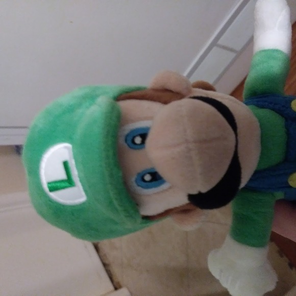 Profile Picture of Luigi Explorations (@cjlemaster10) on Poshmark