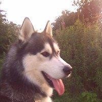 Mark Hooley - Quora Profile Picture of Mark Hooley (@mark-hooley-2) on Quora