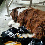 Profile Picture of Kim Elaine Skowronski (@kimelaineskowronski) on Instagram