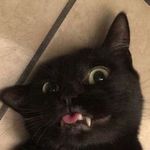 Profile Picture of Jason Theodore (@jason_theodore27) on Instagram