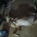 Profile Picture of Seth Matlock (@Seth-Matlock) on Facebook