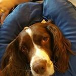 Profile Picture of Anthony Butterworth (@anthony.butterworth.72) on Instagram