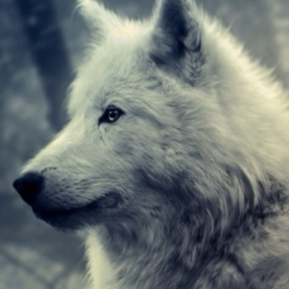 Profile Picture of David Frey (@xdaavidfrey) on Poshmark