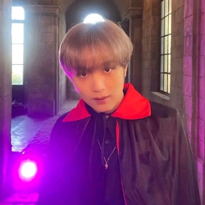 Profile Picture of djungelskog (@stephfarny) on Tiktok