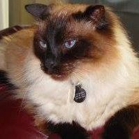 Profile Picture of Bert Swanson (@bert.swanson.9216) on Facebook