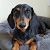 Profile Picture of Frank Weaver (@fweaver1975) on Pinterest