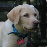 Profile Picture of Kimber Hill (@kimberchewsonthings) on Instagram