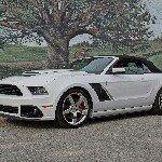 Michael J McGauley - Instagram Profile Picture of Michael J McGauley (@mcgauley.m) on Instagram