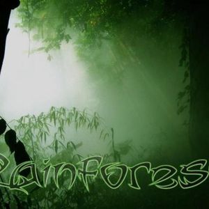 Profile Picture of Rainforest (@rainforestband) on Myspace
