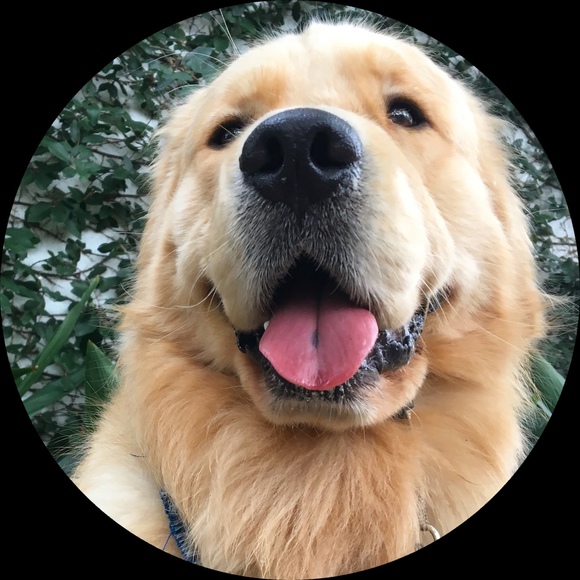 Piper Melton - Poshmark Profile Picture of Piper Melton (@pipermelt) on Poshmark