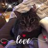 Profile Picture of Audrey summers. (@@amberswope) on Tiktok