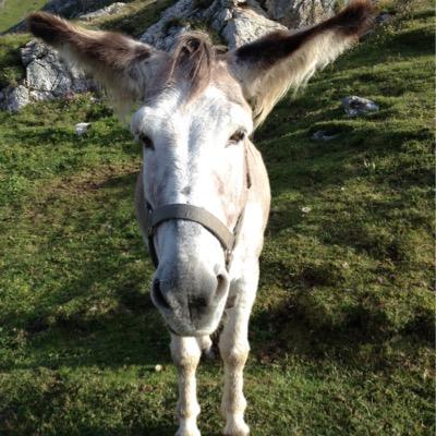 Profile Picture of Jim Copley (@JimCopley56) on Twitter