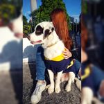 Fernanda Chiomento - Instagram Profile Picture of Fernanda Chiomento (@fe_chiomento) on Instagram