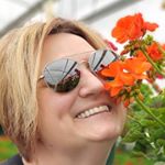 Profile Picture of Aaron Linquist (@aaronlinquist) on Instagram