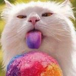 Profile Picture of Stacey Hughes Schaeffer (@staceyhughesschaeffer) on Instagram