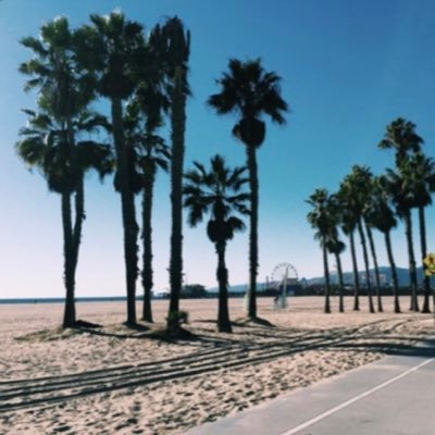 Profile Picture of LaNati (@LaNati_Resist) on Twitter