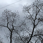 Profile Picture of Richard OsUnA (@richardosuna5475) on Youtube