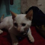 Profile Picture of Rod Lappay (@rod.lappay) on Instagram