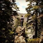 Profile Picture of Andrew Whiteman (@whiteman203) on Instagram