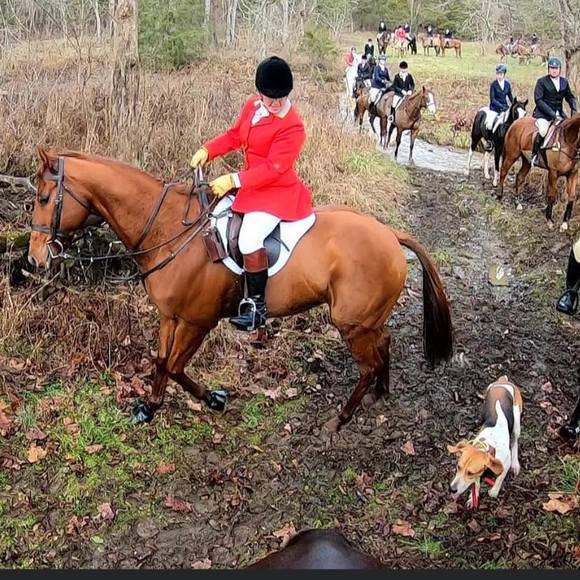 Profile Picture of Cindi Whitacre (@cindiwhitacre) on Poshmark