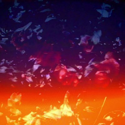 Profile Picture of Blake Williams (@Astrostic) on Twitter