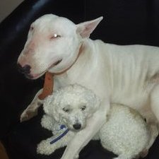 Profile Picture of Julio Junco (@Juliojunco2) on Twitter