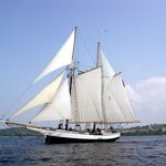 Profile Picture of Edgar Aaron Bringman (@ebringman60) on Instagram