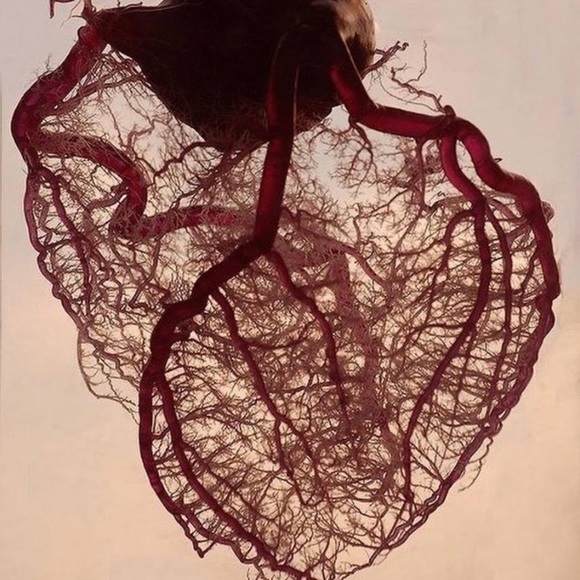 Fida Danoun - Poshmark Profile Picture of Fida Danoun (@fidadanoun) on Poshmark