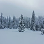 Profile Picture of Michael  Morawski (@michaelmorawski619) on Youtube