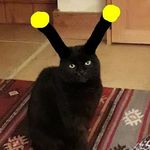 Profile Picture of Moody Phil (@heavenlyphil) on Instagram