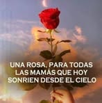 Profile Picture of Norma Falcón (@norma.falcon.587) on Facebook