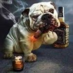 Profile Picture of Travis Allan (@allan.travis) on Instagram